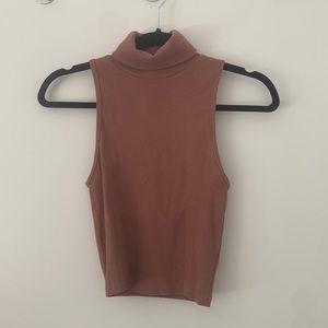 Zara Crop Turtleneck (Like new)